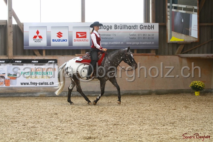 31-ApHC OWP_031.jpg